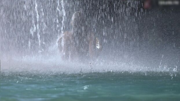 Indiana Evans