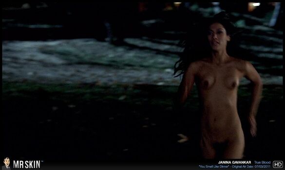 Janina Gavankar Leaked Nude OnlyFans (Photo 45)