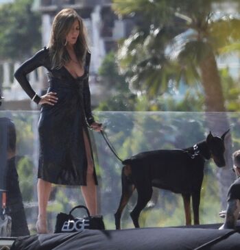 Jennifer Aniston Leaked Nude OnlyFans (Photo 385)