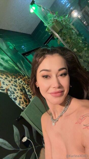 karleaxoxo Leaked Nude OnlyFans (Photo 60)