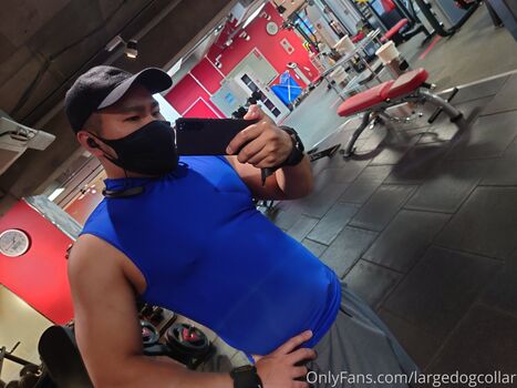 largedogcollar Leaked Nude OnlyFans (Photo 27)