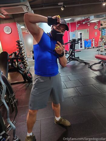 largedogcollar Leaked Nude OnlyFans (Photo 28)