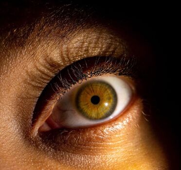 Lexcova / Lexay_X / Kingkorbel