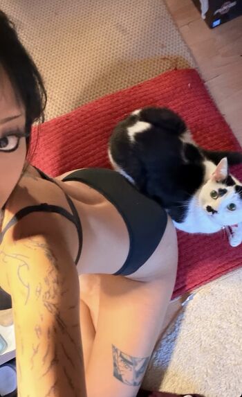 Lilfoxiebaby Leaked Nude OnlyFans (Photo 5)