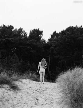 lilly__the__fox