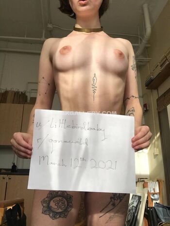 Little Bird Leaked Nude OnlyFans (Photo 3)