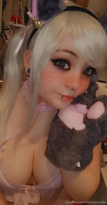 littlescarefox