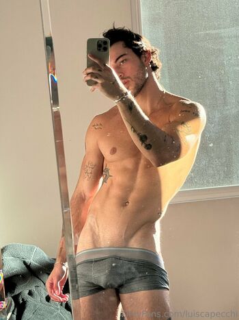 luiscapecchi