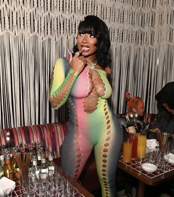 Megan Thee Stallion Leaked Nude OnlyFans (Photo 51)