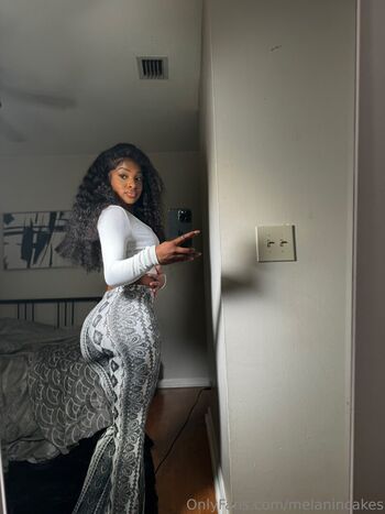 melanincakes