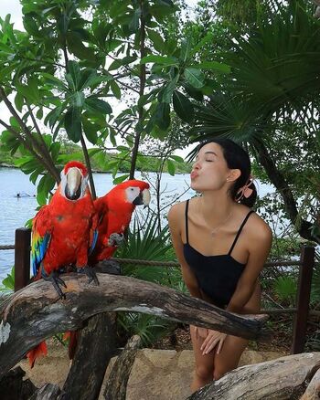 Michelle Mendizábal