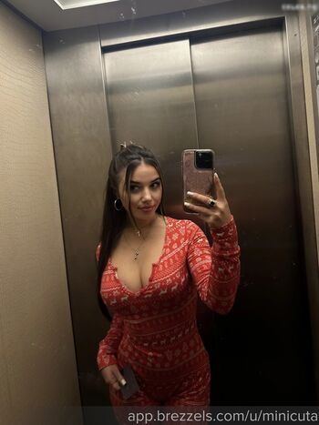 Minicuta