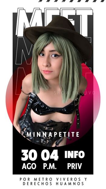 minnapetite12 Leaked Nude OnlyFans (Photo 3)