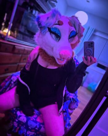 Murrsuit