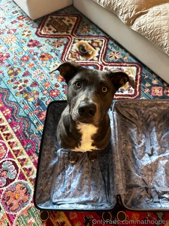 nathooper Leaked Nude OnlyFans (Photo 10)