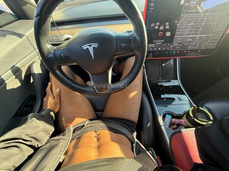 niviawolfe Leaked Nude OnlyFans (Photo 3)