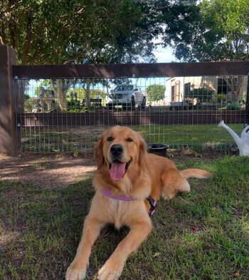 Pearl Farley Leaked Nude OnlyFans (Photo 15)