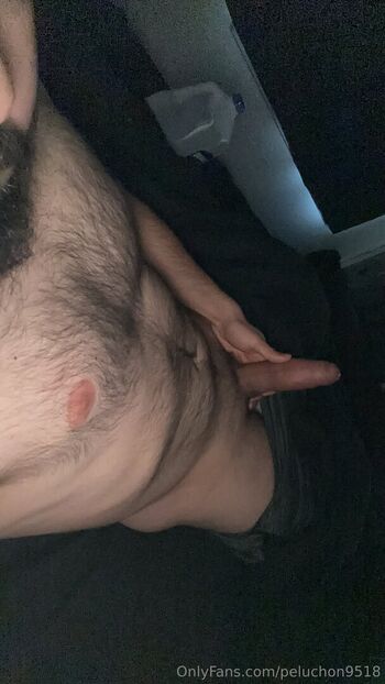 peluchon9518