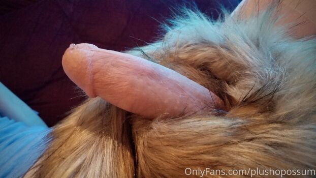 plushopossum Leaked Nude OnlyFans (Photo 28)