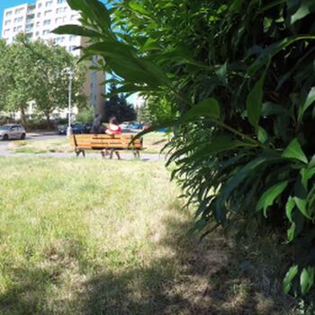 Public Agent Leaked Nude OnlyFans (Photo 113)