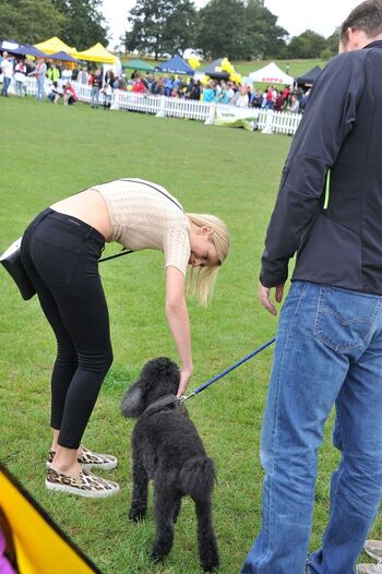 Rachel Riley