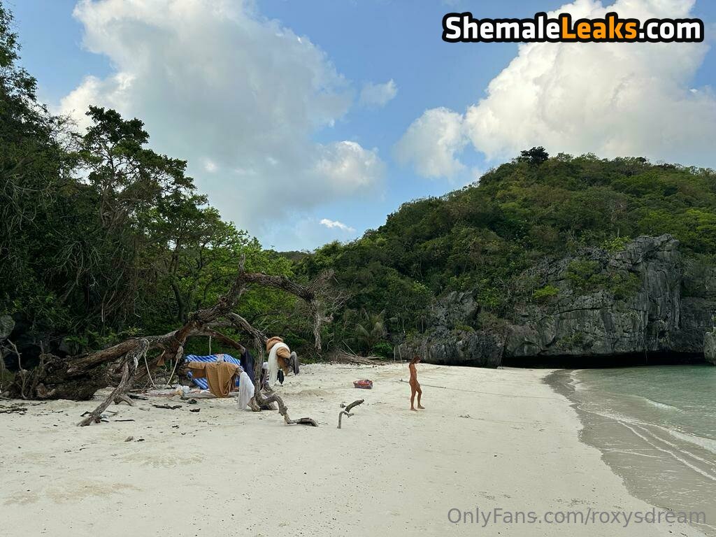 roxysdream / roxysdreamofficial Leaked Nude OnlyFans (Photo 2