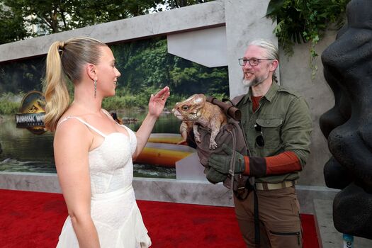 Scarlett Johansson Leaked Nude OnlyFans (Photo 1174)