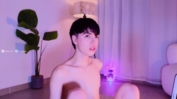 Sebbyrose Leaked Nude OnlyFans (Photo 11)