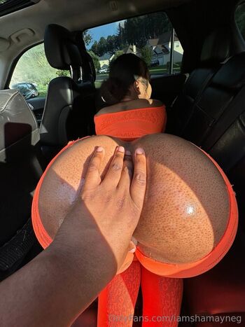Shamayne_shay Leaked Nude OnlyFans (Photo 13)