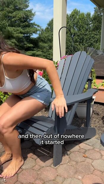 Shesthetea
