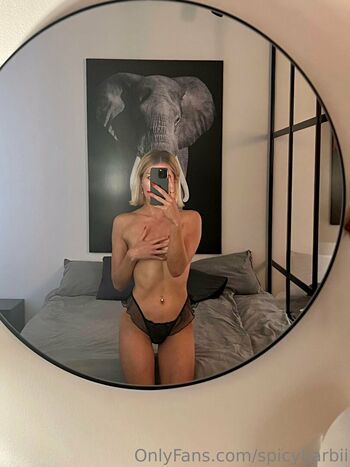 spicybarbii Leaked Nude OnlyFans (Photo 14)