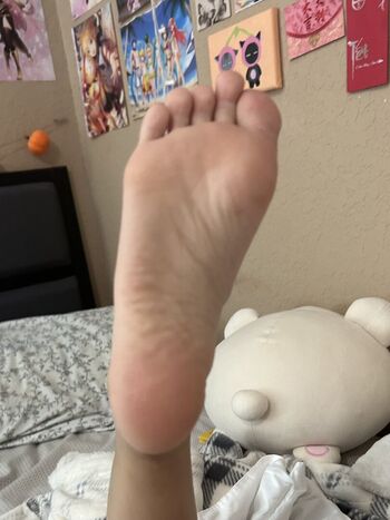Tasyiu Cowboytas