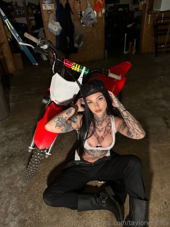 Taylor White