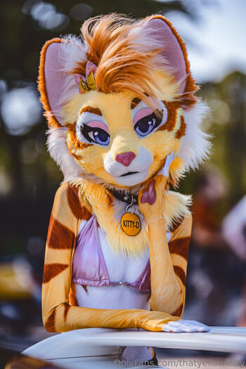 thatyellowkitty