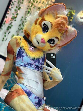 thatyellowkitty