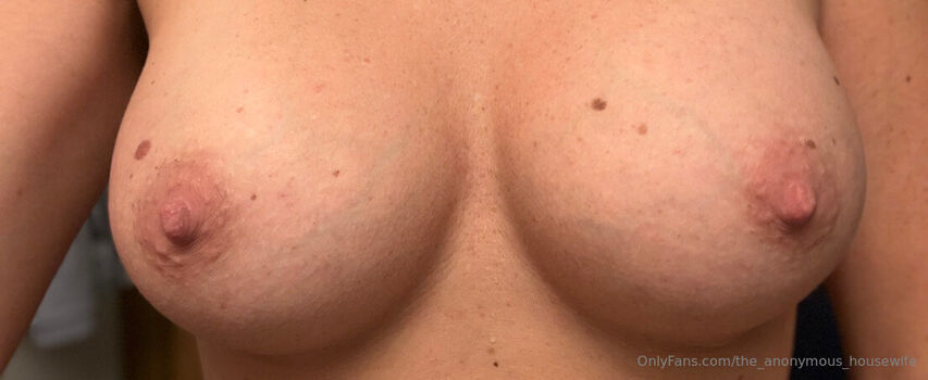 the_anonymous_housewife