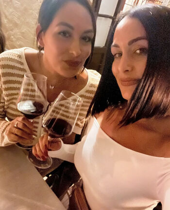 The Bella Twins