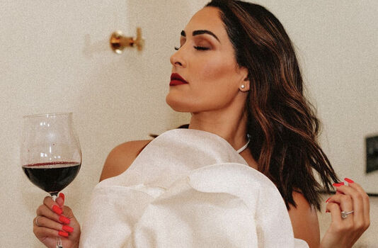 The Bella Twins