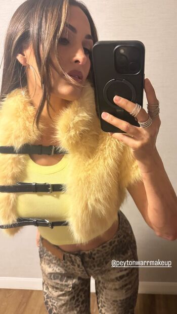 The Bella Twins