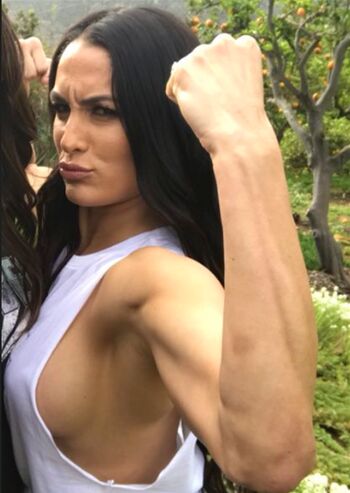 The Bella Twins