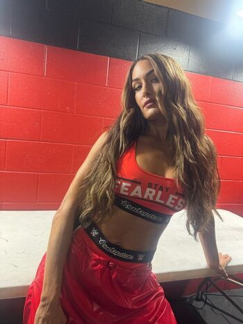 The Bella Twins