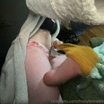 THE Frisky Feline