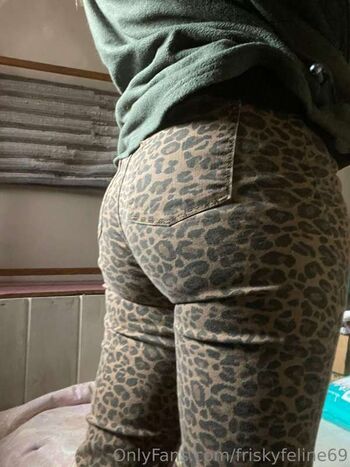 THE Frisky Feline