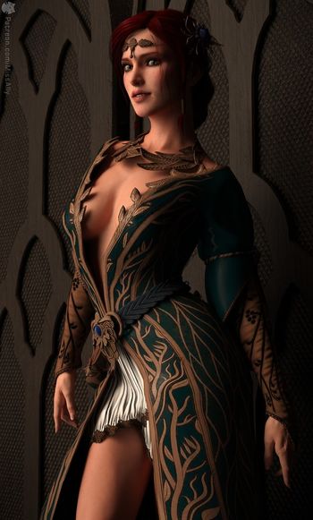 The Witcher