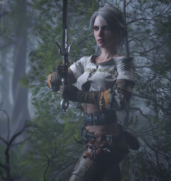 The Witcher