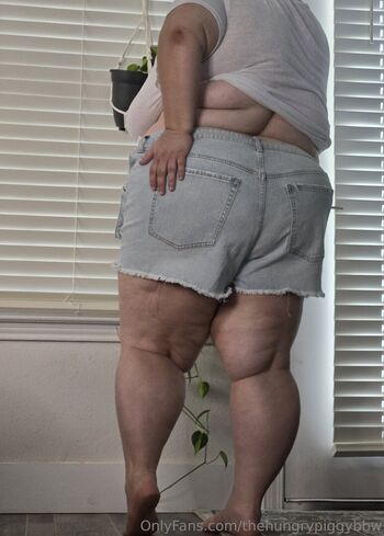 thehungrypiggybbw