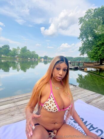 theinfamousvee Leaked Nude OnlyFans (Photo 15)