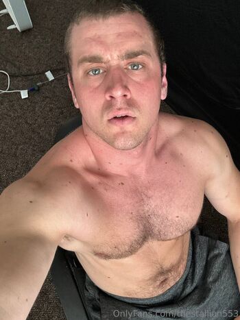 thestallion553