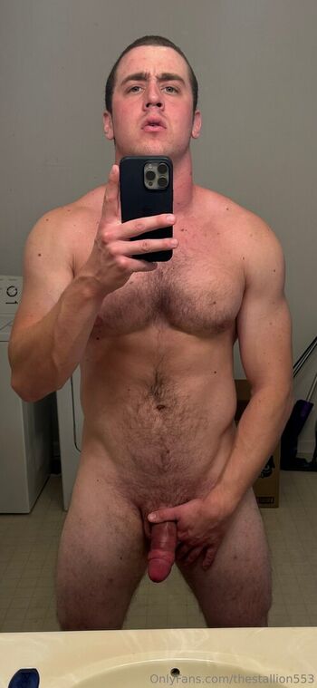 thestallion553