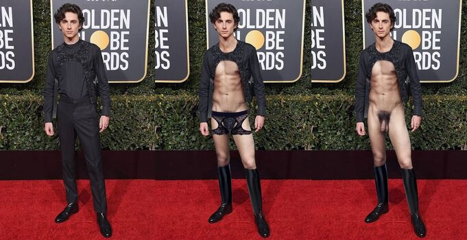 Timothee Chalamet Leaked Nude OnlyFans (Photo 2)
